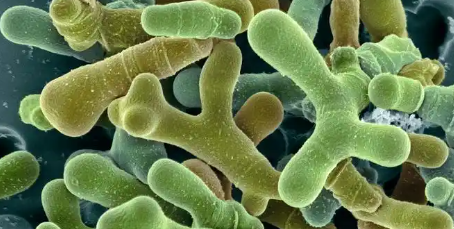 南宫娱乐·NG28(中国)官方网站