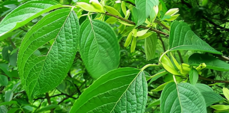 南宫娱乐·NG28(中国)官方网站