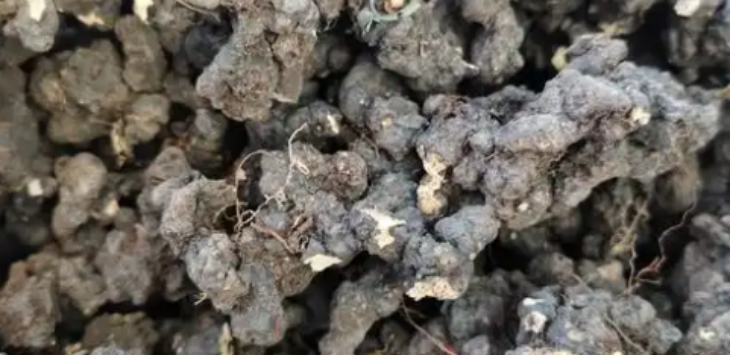 南宫娱乐·NG28(中国)官方网站