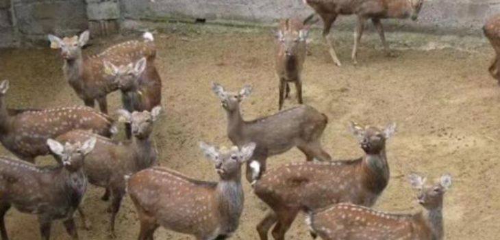 南宫娱乐·NG28(中国)官方网站