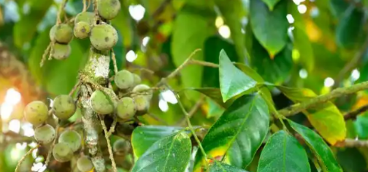 南宫娱乐·NG28(中国)官方网站