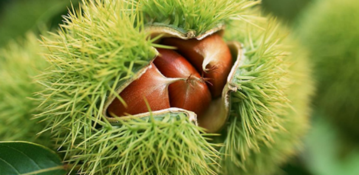 南宫娱乐·NG28(中国)官方网站