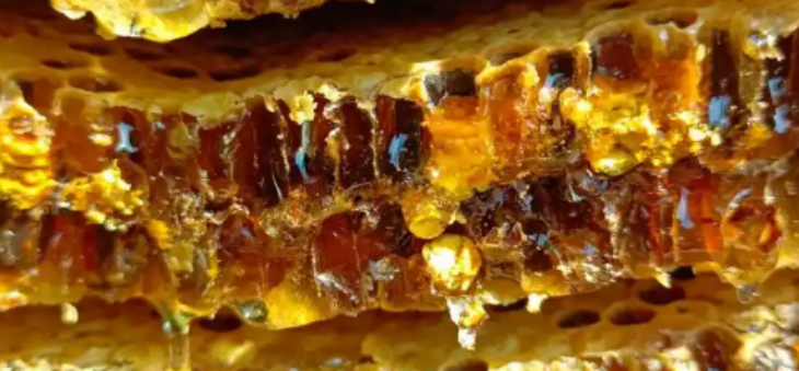 南宫娱乐·NG28(中国)官方网站