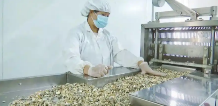 南宫娱乐·NG28(中国)官方网站