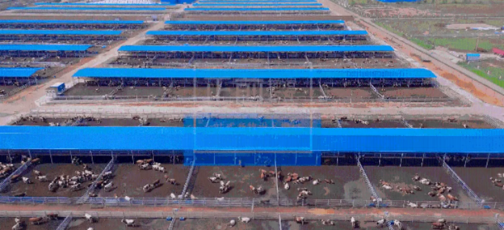 南宫娱乐·NG28(中国)官方网站