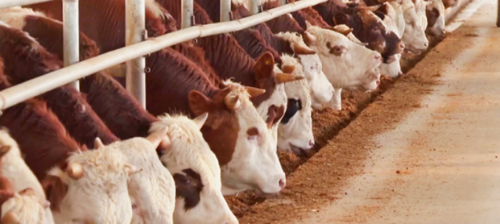 南宫娱乐·NG28(中国)官方网站