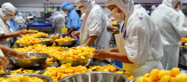 南宫娱乐·NG28(中国)官方网站